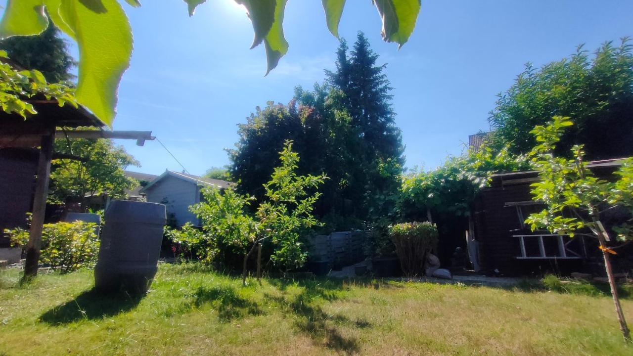Homestay Jan's Homestay! #kassel-lohfelden *