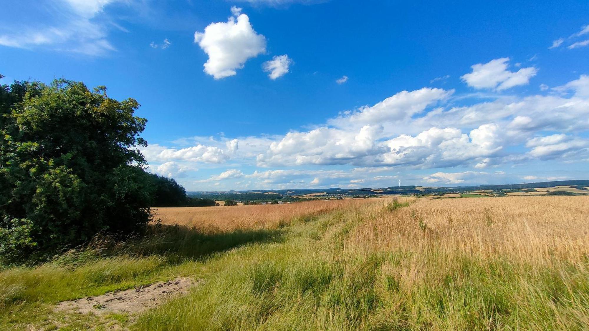 Homestay Jan's Homestay! #kassel-lohfelden Lohfelden