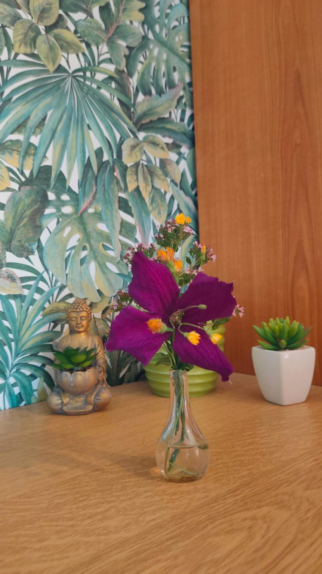 Jan's Homestay! #kassel-lohfelden * Lohfelden