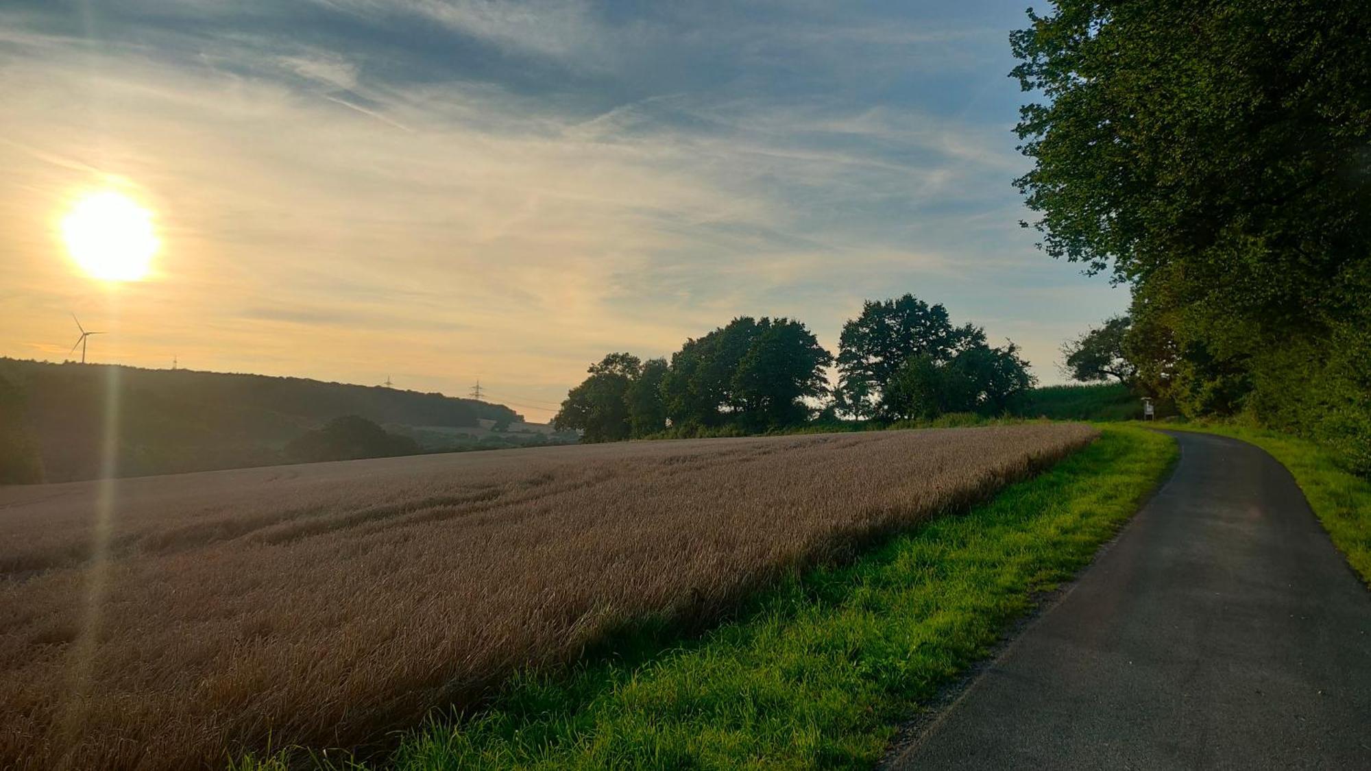 Jan's Homestay! #kassel-lohfelden * Lohfelden